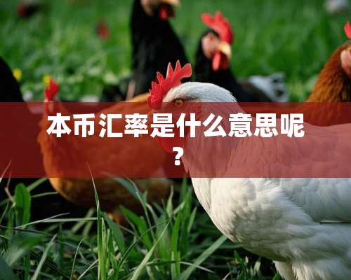 本币汇率是什么意思呢？