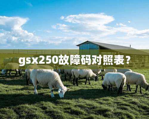 gsx250故障码对照表？