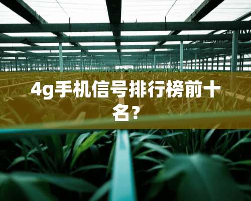 4g手机信号排行榜前十名？