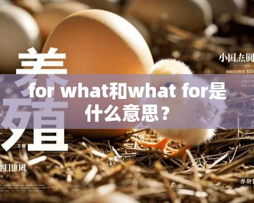 for what和what for是什么意思？