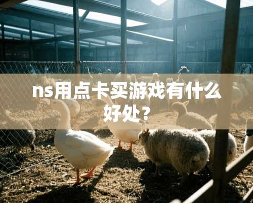 ns用点卡买游戏有什么好处？