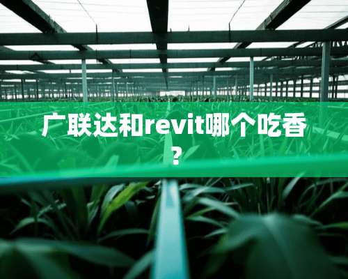 广联达和revit哪个吃香？