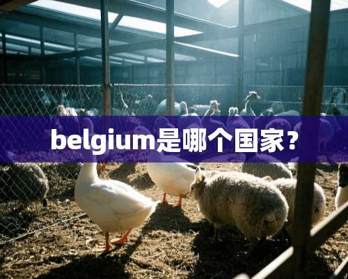 belgium是哪个国家？