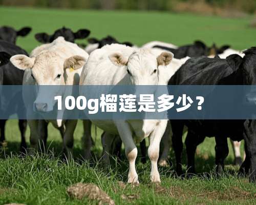 100g榴莲是多少？