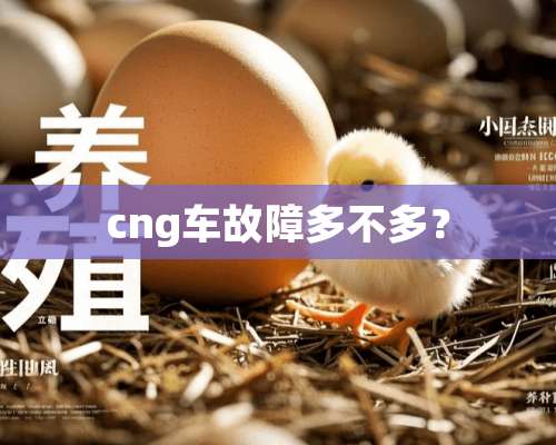 cng车故障多不多？