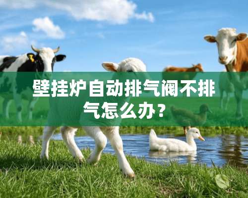 壁挂炉自动排气阀不排气怎么办？