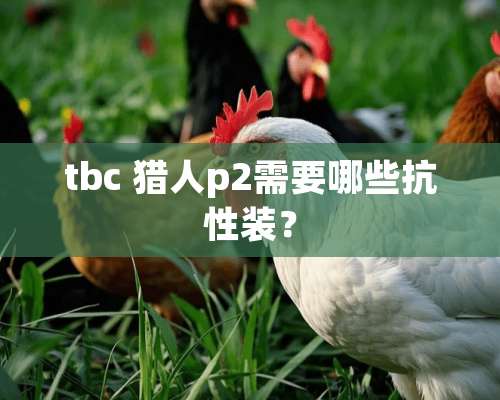 tbc 猎人p2需要哪些抗性装？