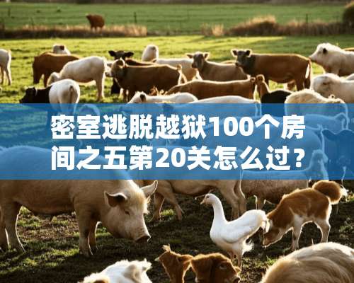 密室逃脱越狱100个房间之五第20关怎么过？