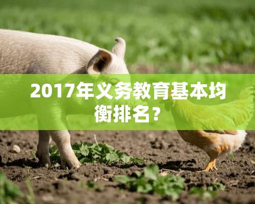 2017年义务教育基本均衡排名？