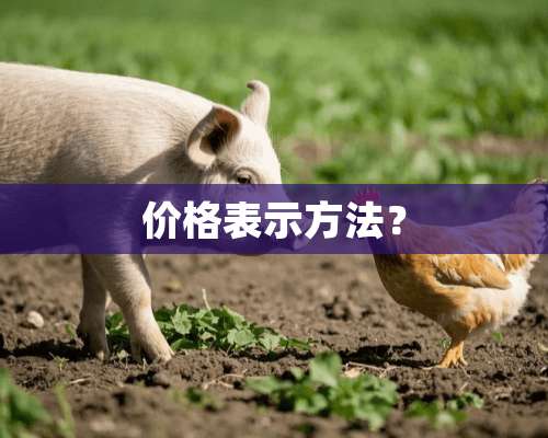 价格表示方法？