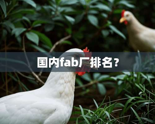 国内fab厂排名？