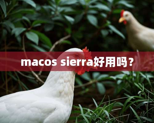 macos sierra好用吗？