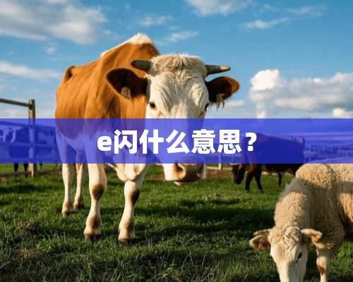 e闪什么意思？