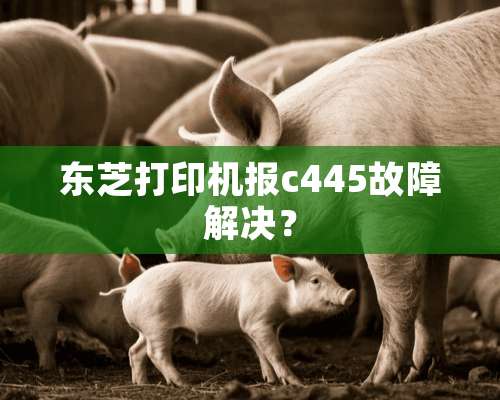 东芝打印机报c445故障解决？