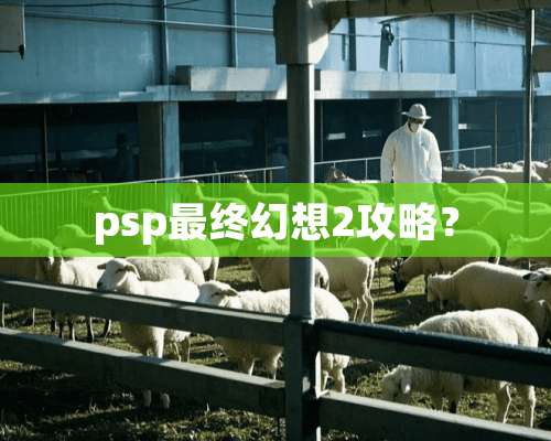 psp最终幻想2攻略？