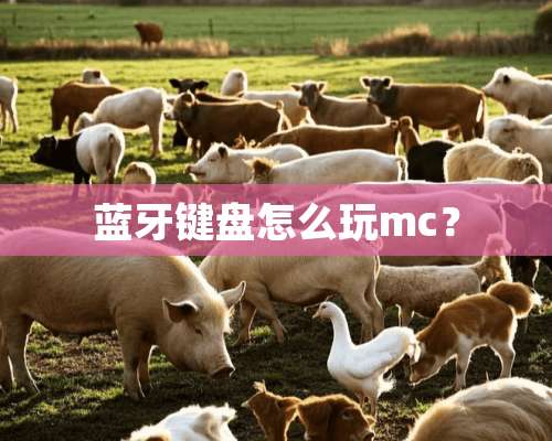 蓝牙键盘怎么玩mc？