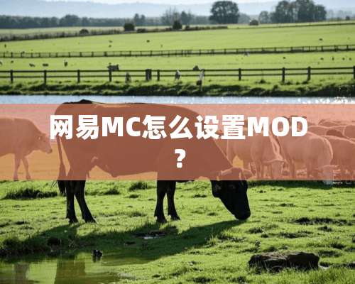 网易MC怎么设置MOD？