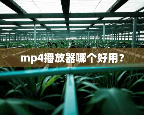 mp4播放器哪个好用？