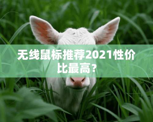 无线鼠标推荐2021性价比最高？