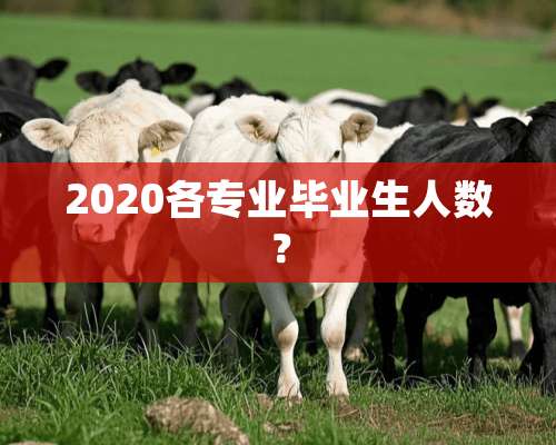 2020各专业毕业生人数？