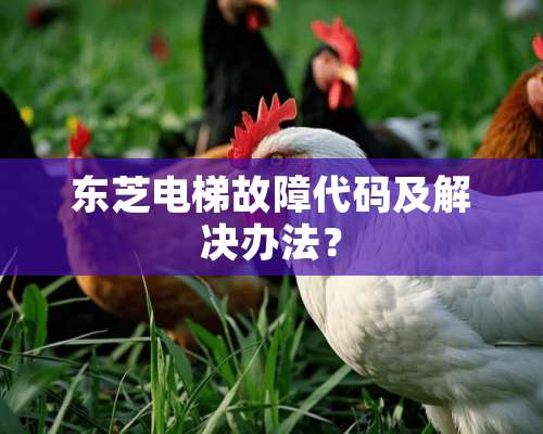 东芝电梯故障代码及解决办法？