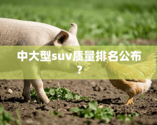 中大型suv质量排名公布？