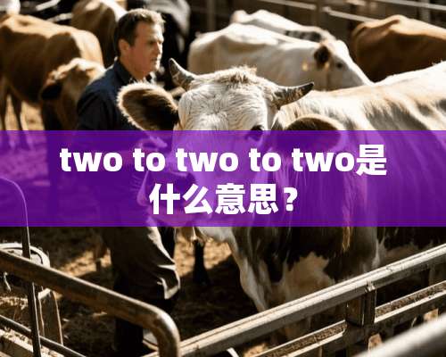 two to two to two是什么意思？