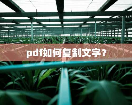 pdf如何复制文字？