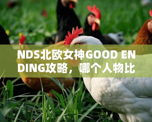 NDS北欧女神GOOD ENDING攻略，哪个人物比较好用，走哪条路线比较好？