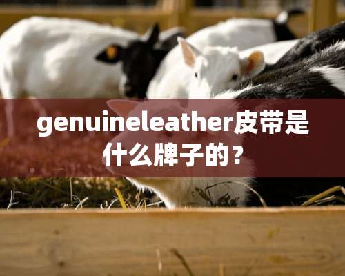 genuineleather皮带是什么牌子的？