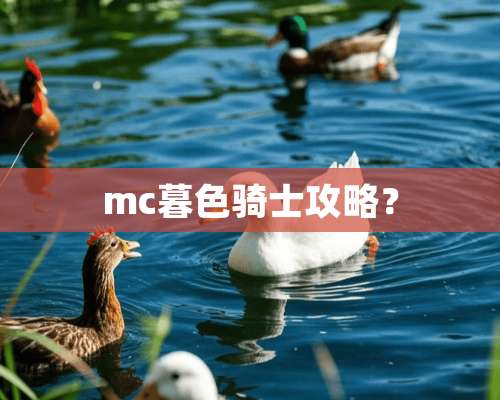 mc暮色骑士攻略？