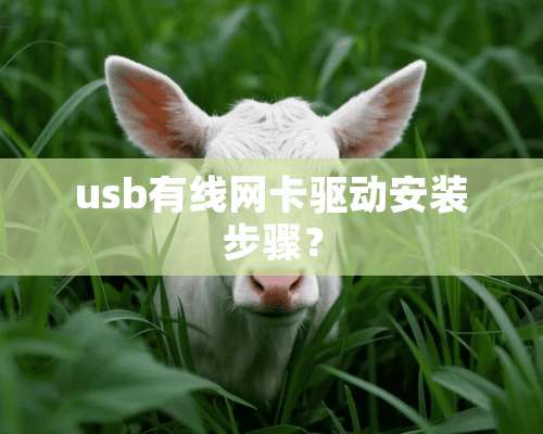 usb有线网卡驱动安装步骤？