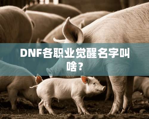 DNF各职业觉醒名字叫啥？