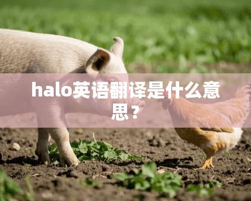 halo英语翻译是什么意思？