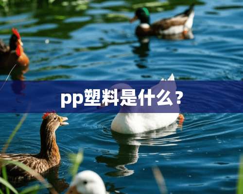 pp塑料是什么？