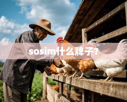 sosim什么牌子？