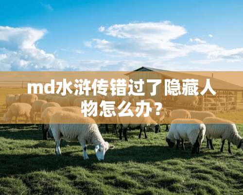 md水浒传错过了隐藏人物怎么办？