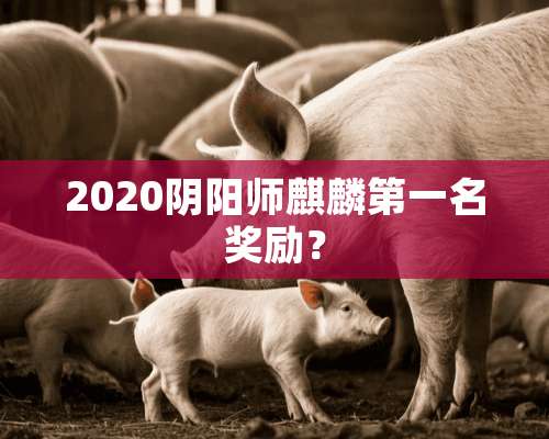 2020*阳师麒麟第一名奖励？