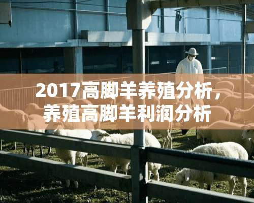 2017高脚羊养殖分析，养殖高脚羊利润分析