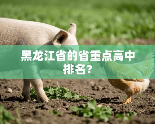 黑龙江省的省重点高中排名？