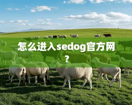 怎么进入sedog官方网？