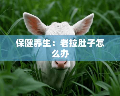 保健养生：老拉肚子怎么办