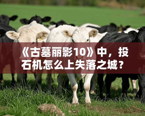 《古墓丽影10》中，投石机怎么上失落之城？