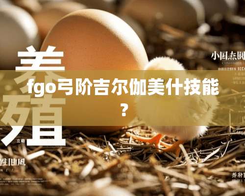 fgo弓阶吉尔伽美什技能？