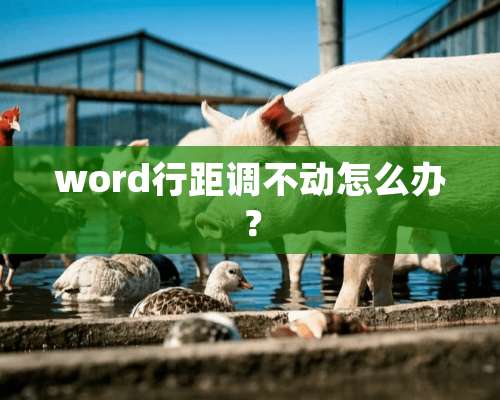 word行距调不动怎么办？