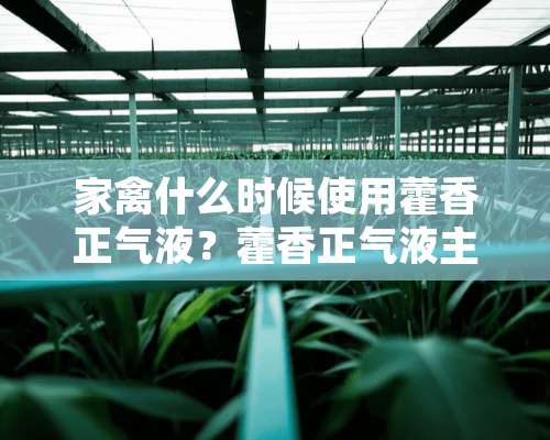 家禽什么时候使用藿香正气液？藿香正气液主要用处有哪些？