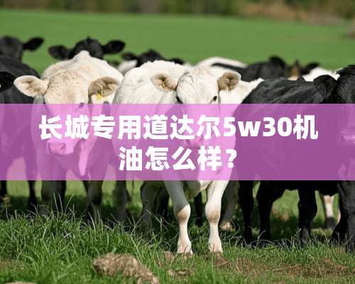 长城专用道达尔5w30机油怎么样？