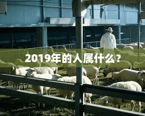 2019年的人属什么？