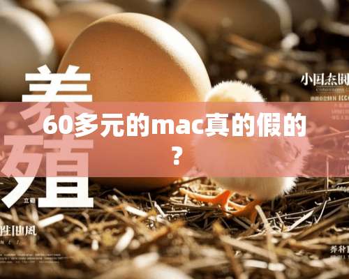 60多元的mac真的假的？