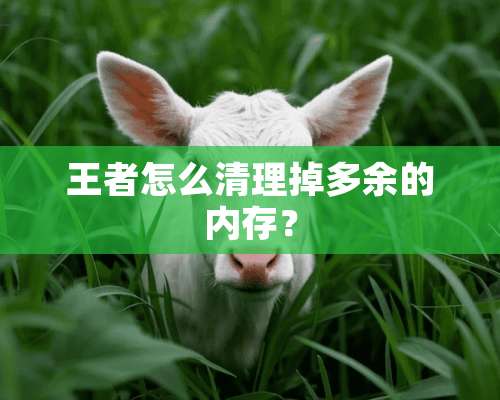 王者怎么清理掉多余的内存？